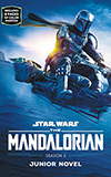 The Mandalorian